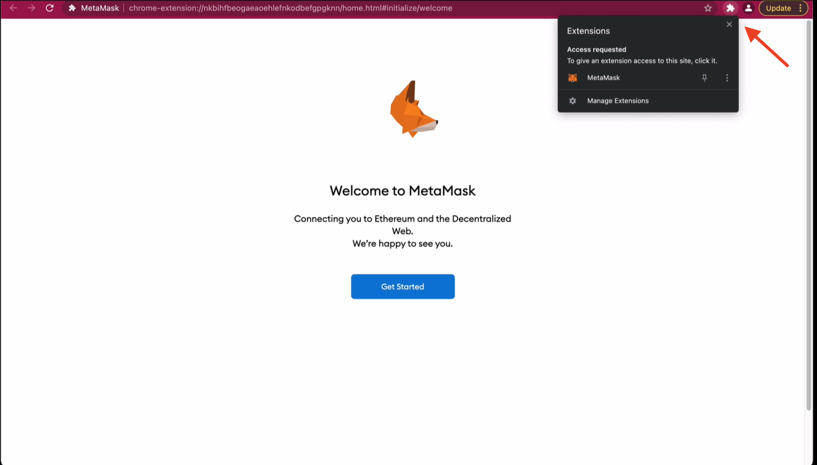 View Metamask in Extensions Tab